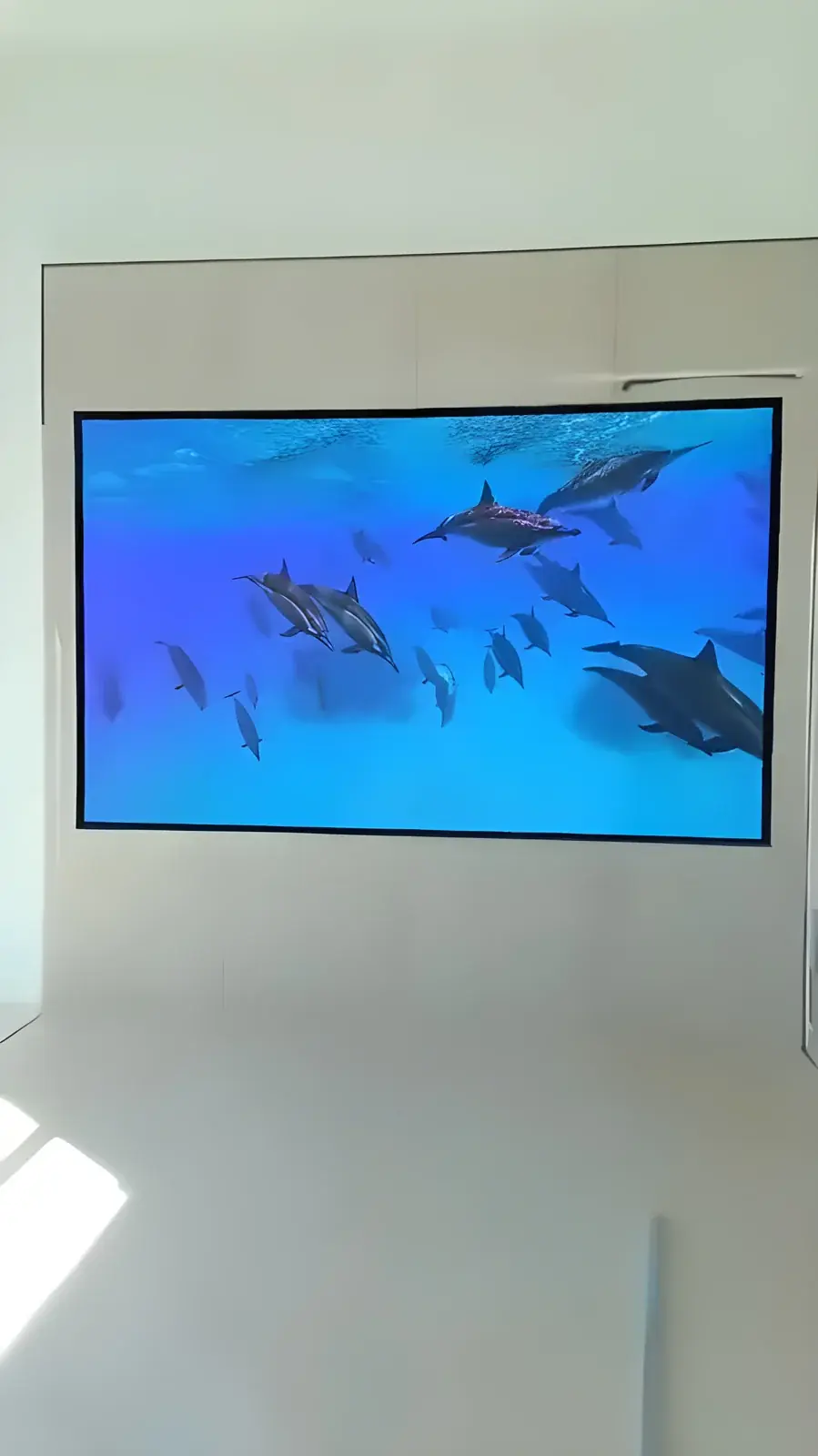 Painel de LED indoor embutido na parede do showroom da Gelly exibindo conteúdo em alta definição